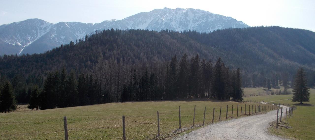 Ferienwohnungen Mamauwiese Gutenstein Zewnętrze zdjęcie