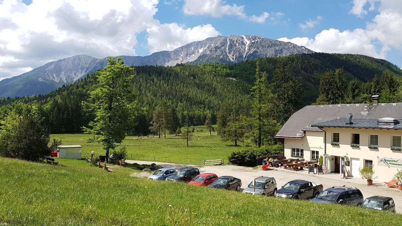 Ferienwohnungen Mamauwiese Gutenstein Zewnętrze zdjęcie