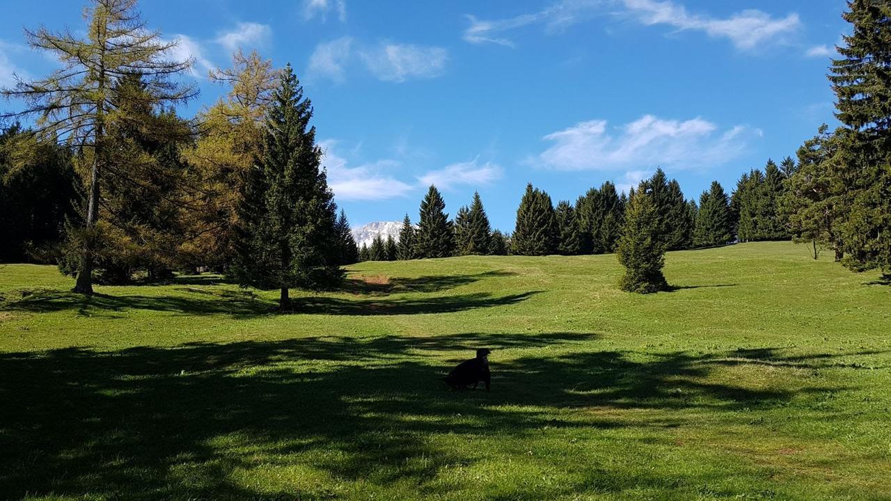 Ferienwohnungen Mamauwiese Gutenstein Zewnętrze zdjęcie