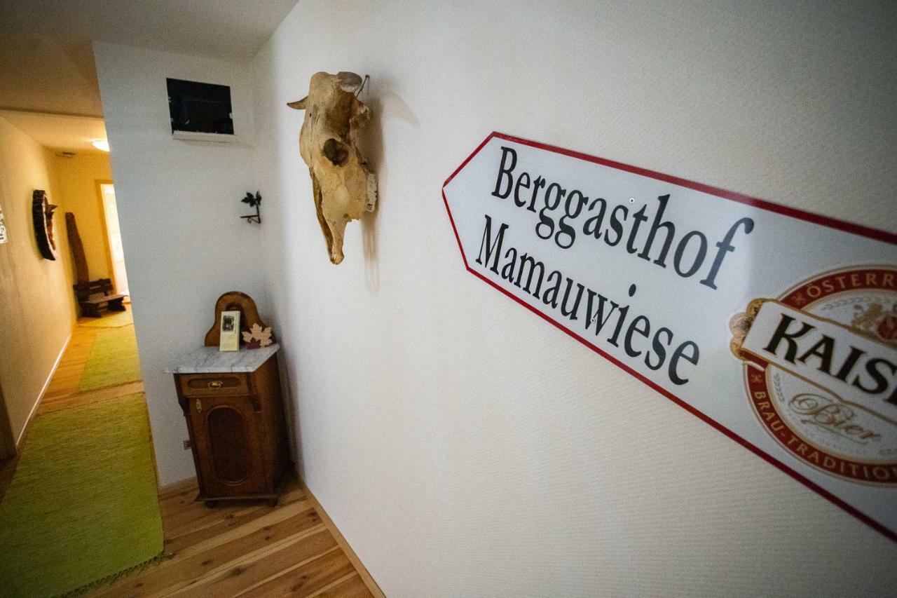 Ferienwohnungen Mamauwiese Gutenstein Zewnętrze zdjęcie